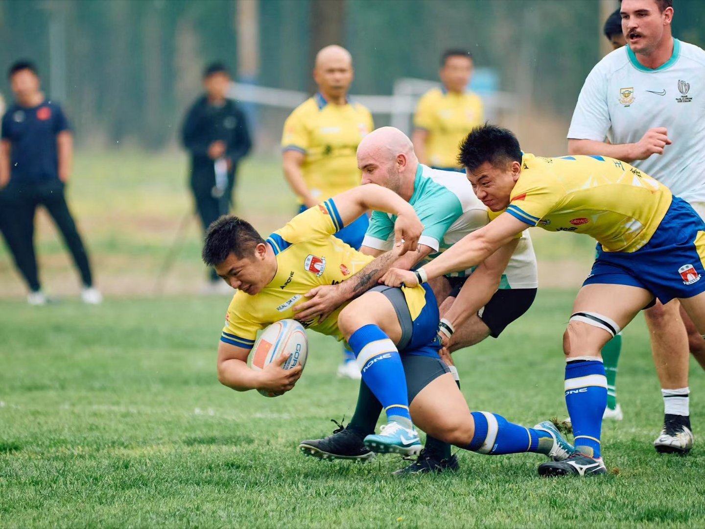 关于场面火爆！橄榄球观众席沸腾不已的信息