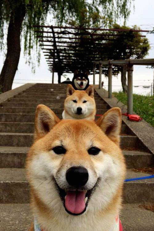 中场大师与维京战吼,当艺术足球遭遇团队革命