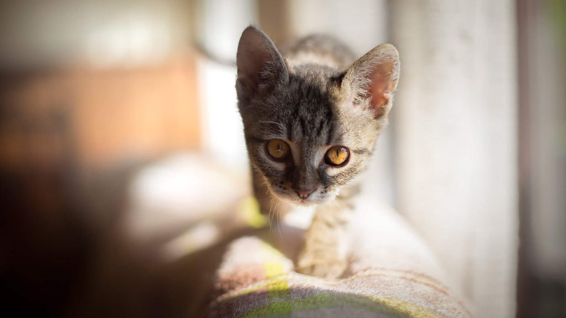 开云体育入口-内马尔空降莱比锡改写格局，欧冠夜关键策动红牛完胜国际米兰