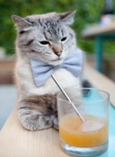 东决关键战之夜，德罗赞用不被期待的方式完成唯一统治