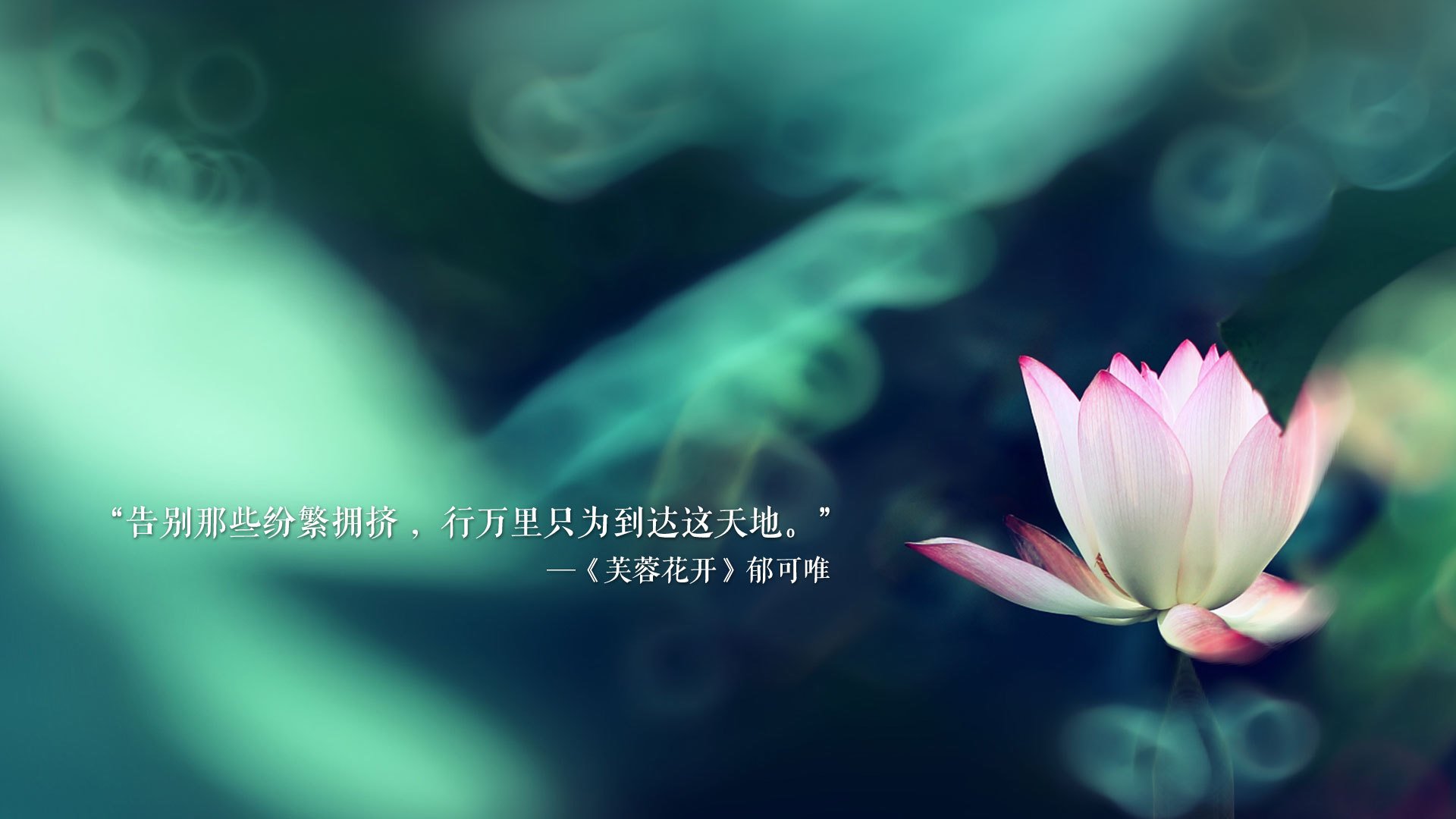 开云下载-黑马啸天，加拿大2026世界杯逆转突尼斯，卢卡库独舞引爆枫叶奇迹